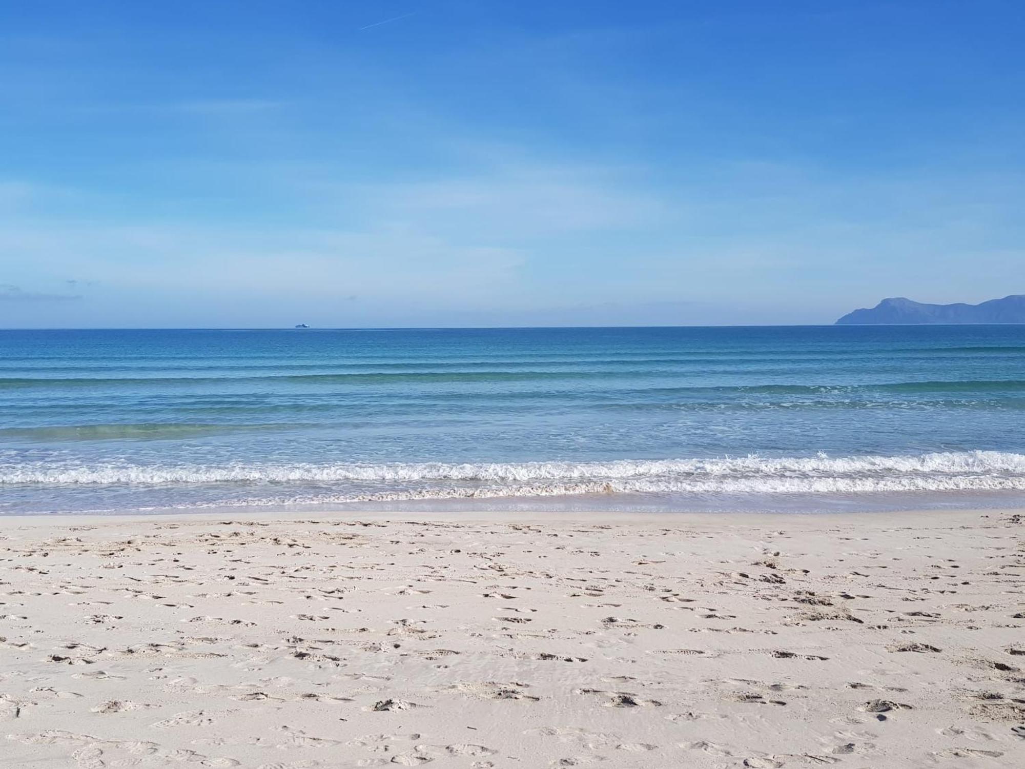 אלקודיה Ideal Property Mallorca - Blue Palm Beach מראה חיצוני תמונה